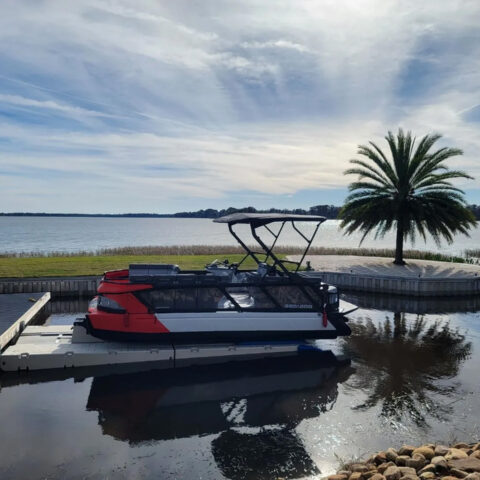 A pontoon boat is docked at a dock next to a palm tree.