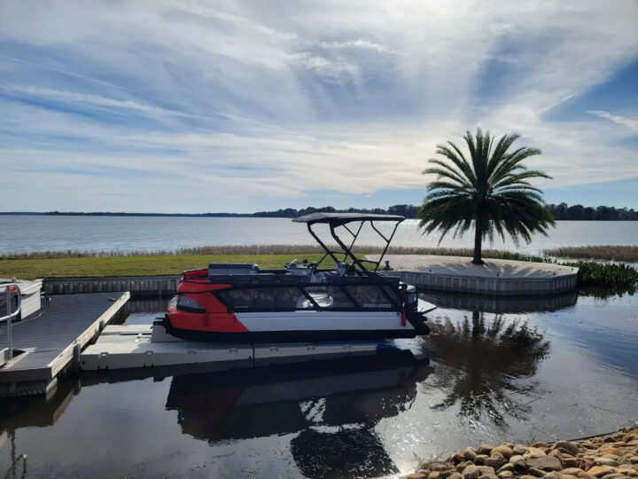 A pontoon boat is docked at a dock next to a palm tree.