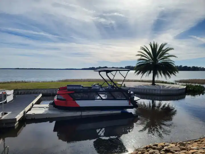 A pontoon boat is docked at a dock next to a palm tree.